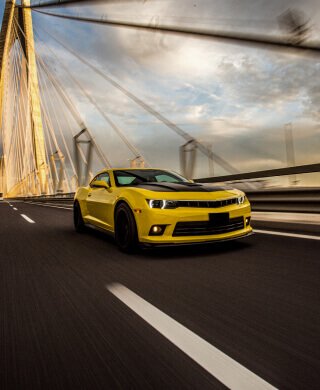 Chauffeur driven car rental